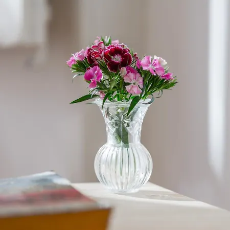 Spacious, Bright And Sunny Apartment, By Timecooler