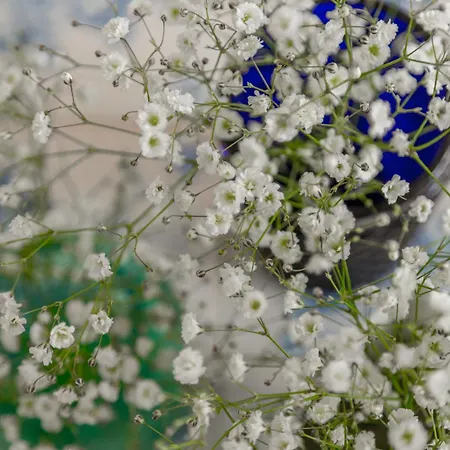 아파트 Spacious, Bright And Sunny Apartment, By Timecooler