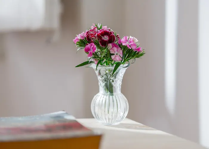 Spacious, Bright And Sunny Apartment, By Timecooler