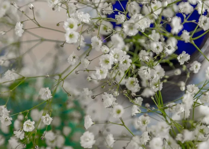 شقة Spacious, Bright And Sunny Apartment, By Timecooler